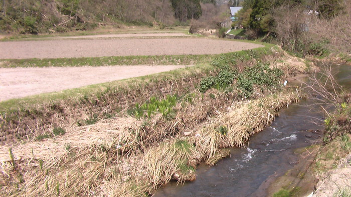 b0208961_14223475.jpg
