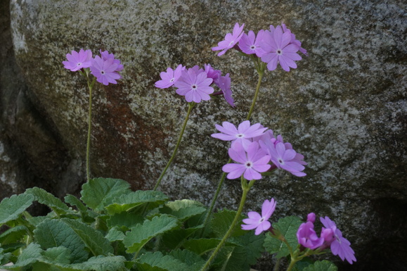 b0243161_2395066.jpg
