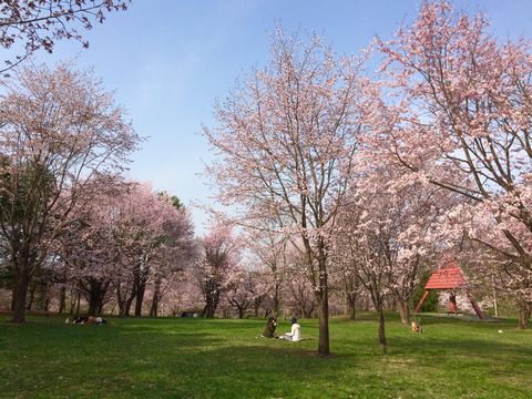 f0295063_14403473.jpg