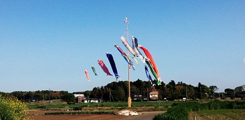 b0140270_8104423.jpg
