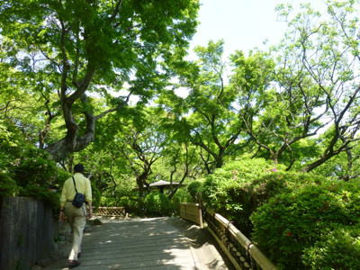 c0040472_1792172.jpg