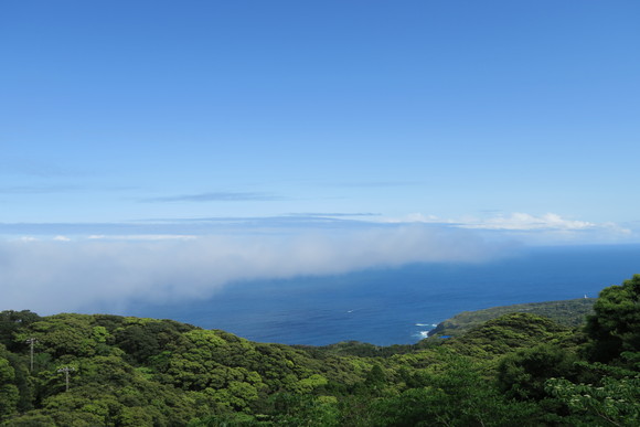 e0292172_2034351.jpg
