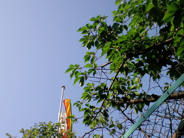 d0147774_7402369.jpg