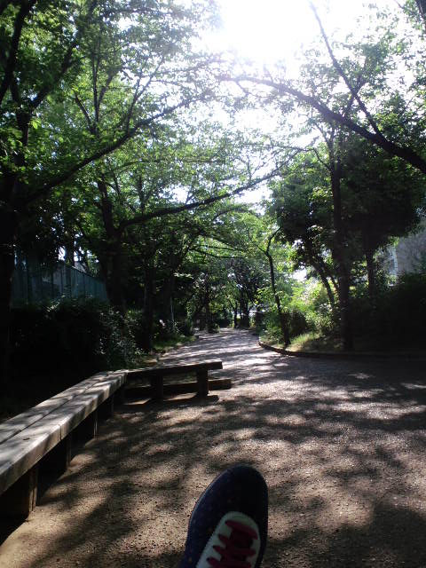 d0147774_8131145.jpg
