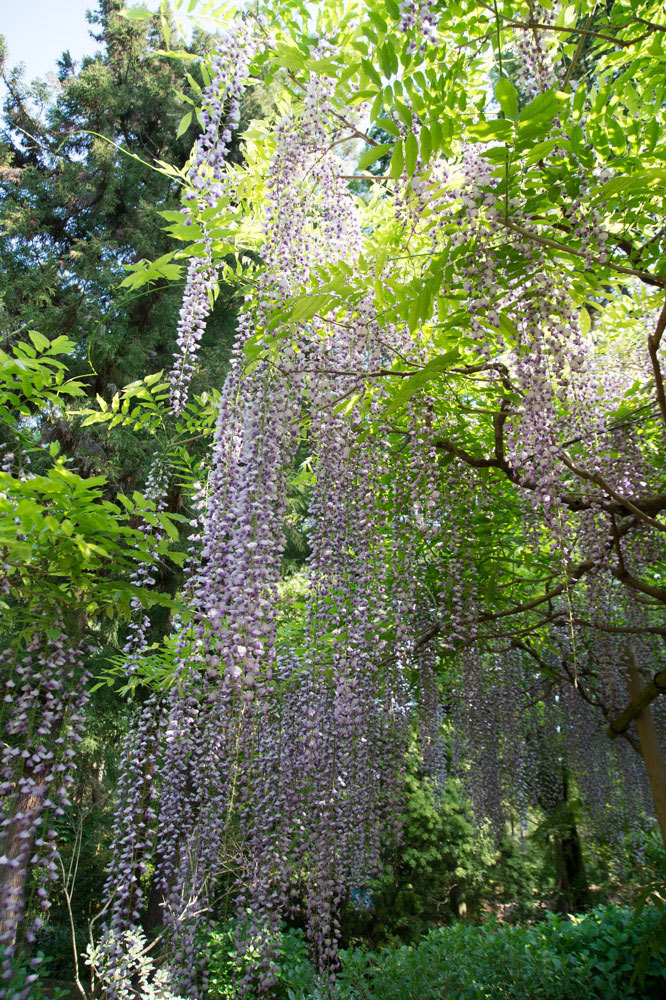 a0301676_13125103.jpg