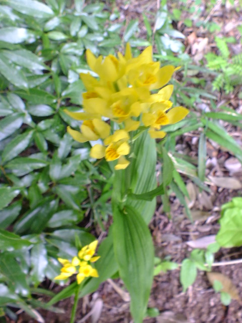 e0145782_11451295.jpg