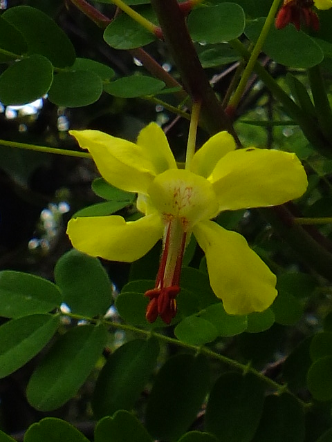 e0145782_11491616.jpg