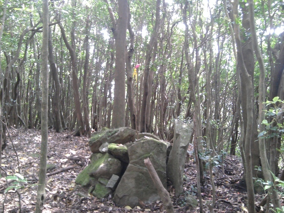 f0041284_0311518.jpg
