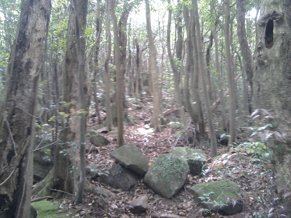 f0041284_09119.jpg