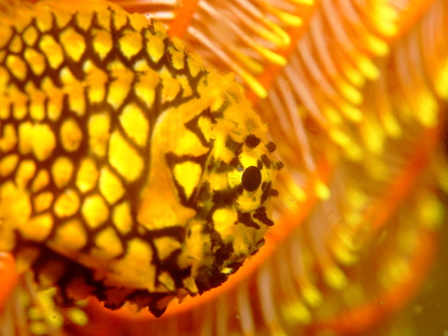 f0151886_15230074.jpg