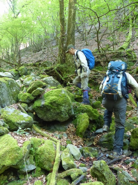 f0357487_21411760.jpg