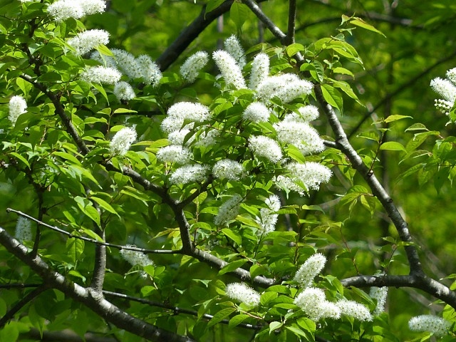f0357487_21453558.jpg