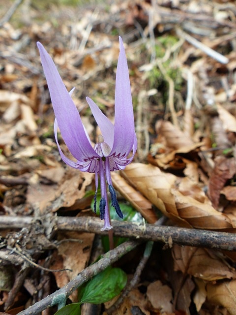 f0357487_2153527.jpg