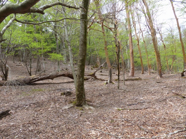 f0357487_2221422.jpg
