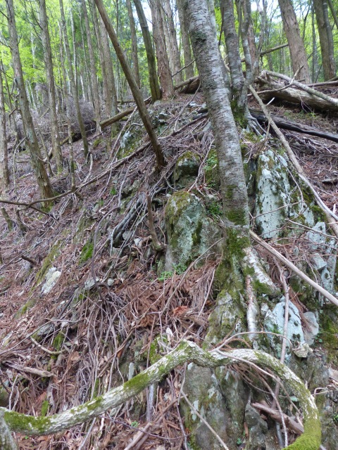 f0357487_22304544.jpg