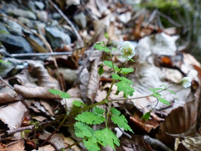f0357487_22412249.jpg