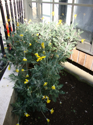 c0322794_9161438.jpg