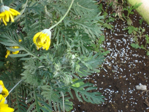 c0322794_9305189.jpg