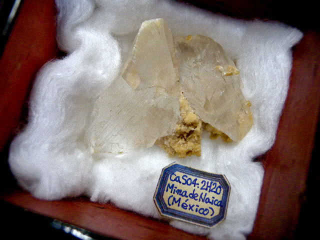 a0199297_2127764.jpg