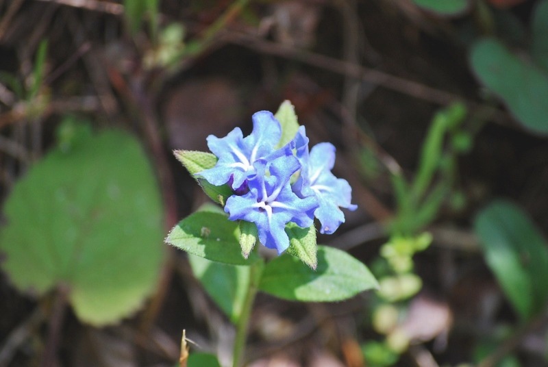 e0025300_14292226.jpg
