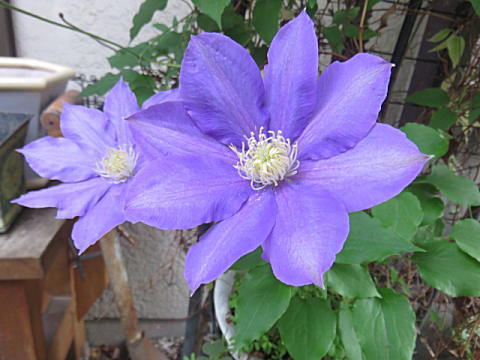 d0046702_7171955.jpg