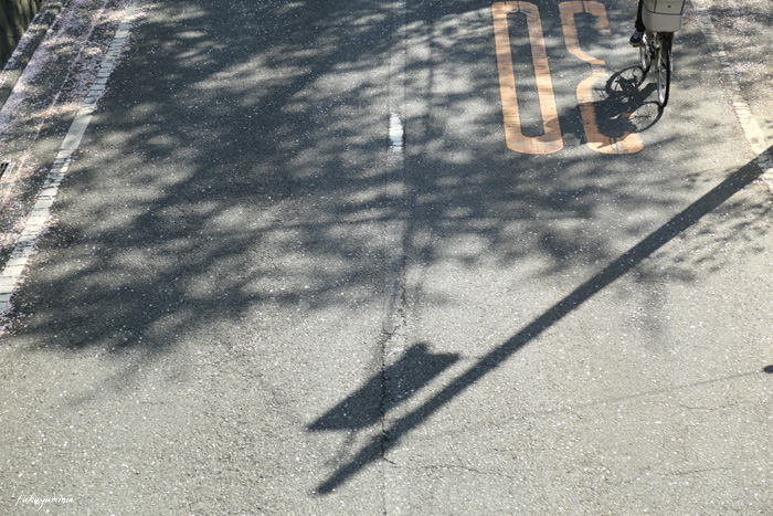 f0185802_12593858.jpg