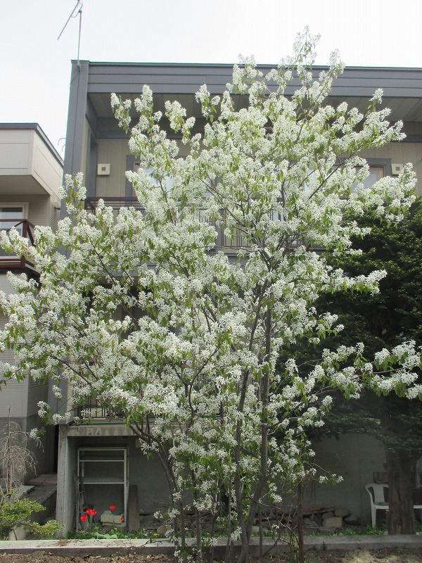 f0202703_1044107.jpg