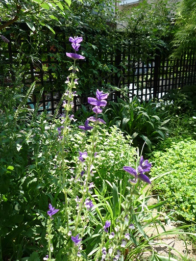 e0234004_17164046.jpg