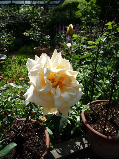 e0234004_17185378.jpg