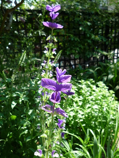 e0234004_17241370.jpg