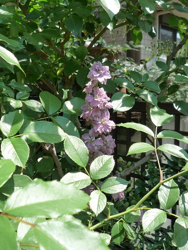 e0234004_17242043.jpg