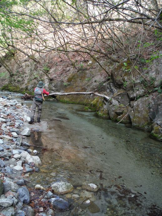 b0172805_11361850.jpg