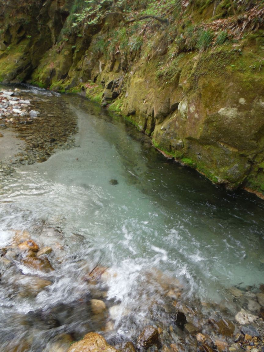 b0172805_11432331.jpg