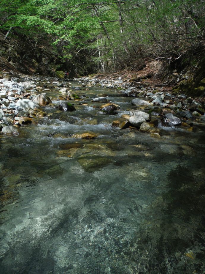 b0172805_1149398.jpg
