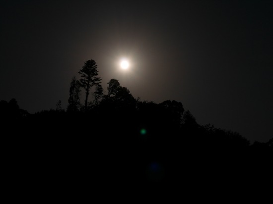 c0114110_9352936.jpg