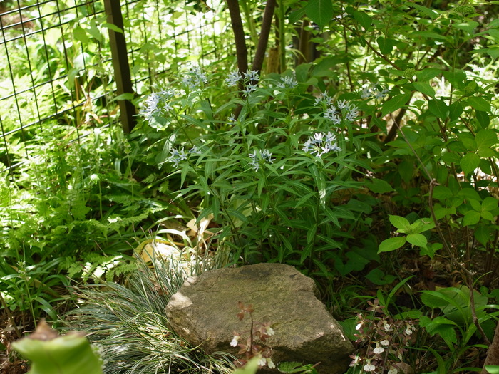 e0276411_0453871.jpg