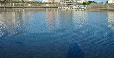 b0259124_1282815.jpg