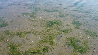 b0259124_223397.jpg
