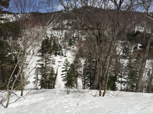c0157625_20251541.jpg