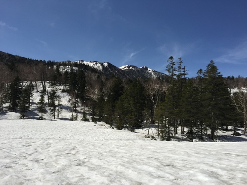 c0157625_20251917.jpg