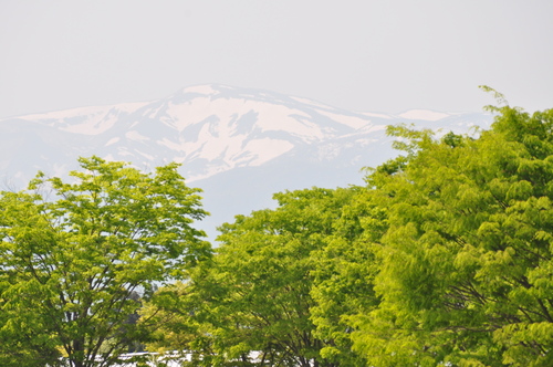 a0248728_16104039.jpg