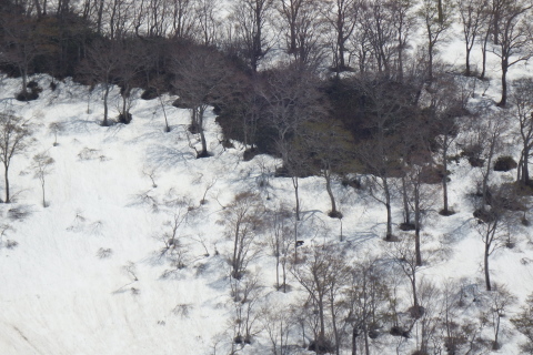 f0118332_21455732.jpg