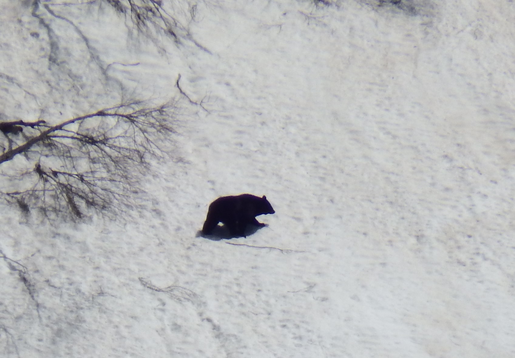 f0118332_21462021.jpg