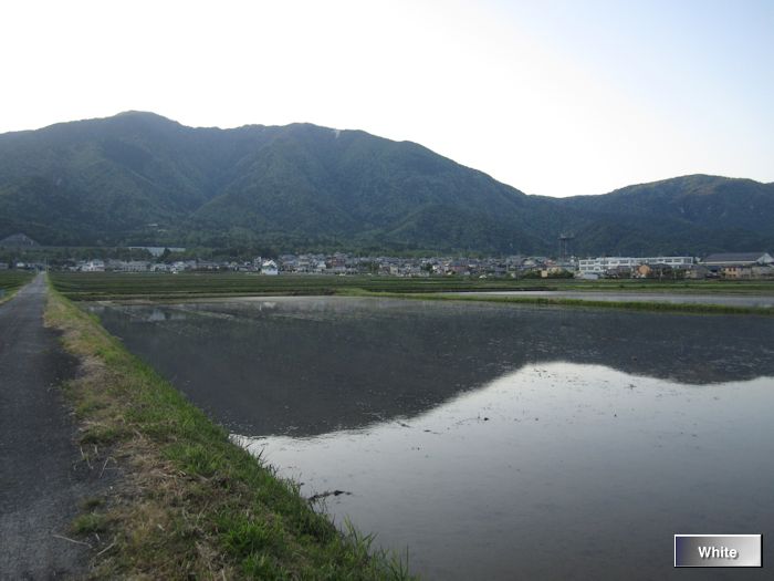 c0227134_8245318.jpg