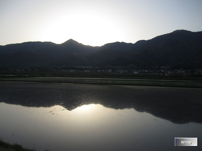 c0227134_82496.jpg