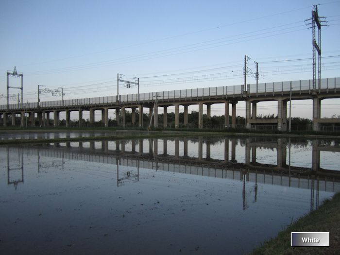 c0227134_8251482.jpg