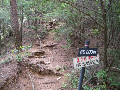 e0272335_20194744.jpg