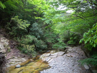 e0272335_202629.jpg