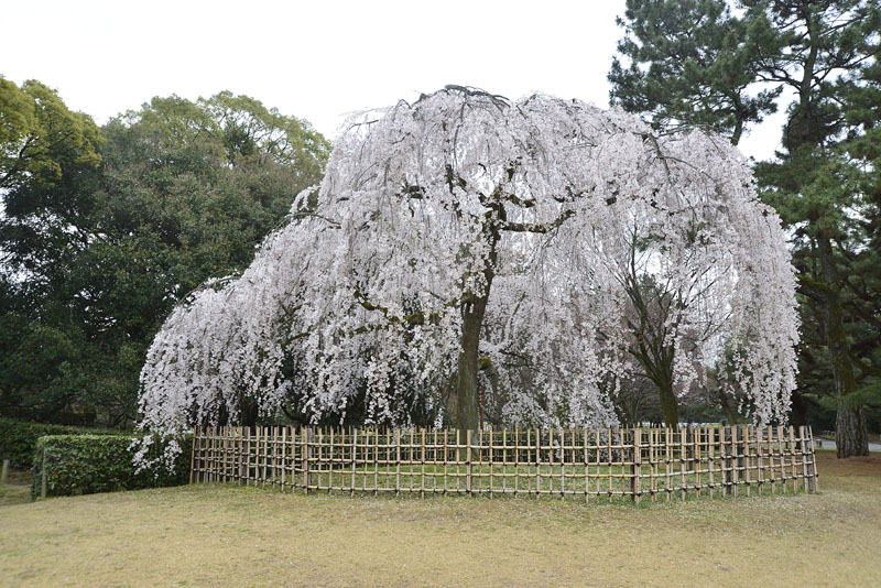 b0042837_4272315.jpg