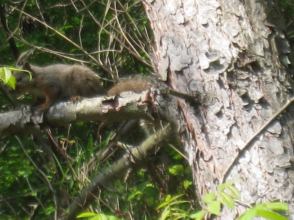 c0077338_7414997.jpg